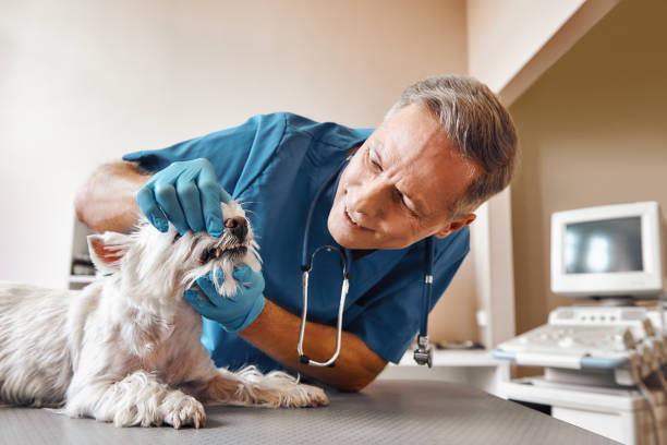 Emergency Dentist Open Today in RI
